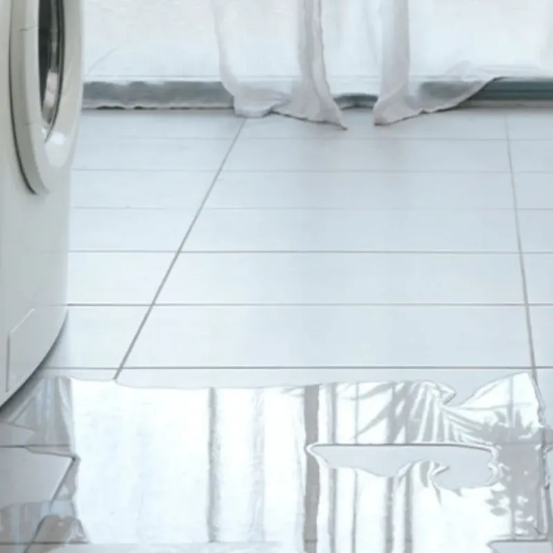 Appliance Leak Cleanup in Greeley County, NE