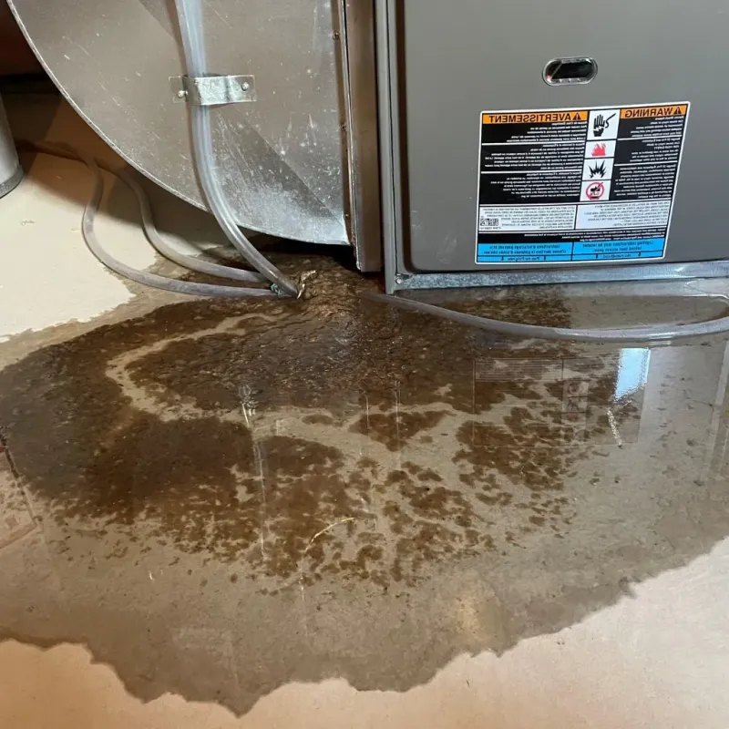 Pipe Burst and Leak Restoration in Greeley County, NE