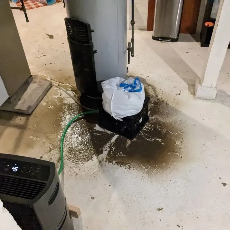 Sewage Backup Cleanup Service in Greeley County, NE